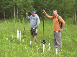 Field survey using the pulseEKKO borehole GPR.